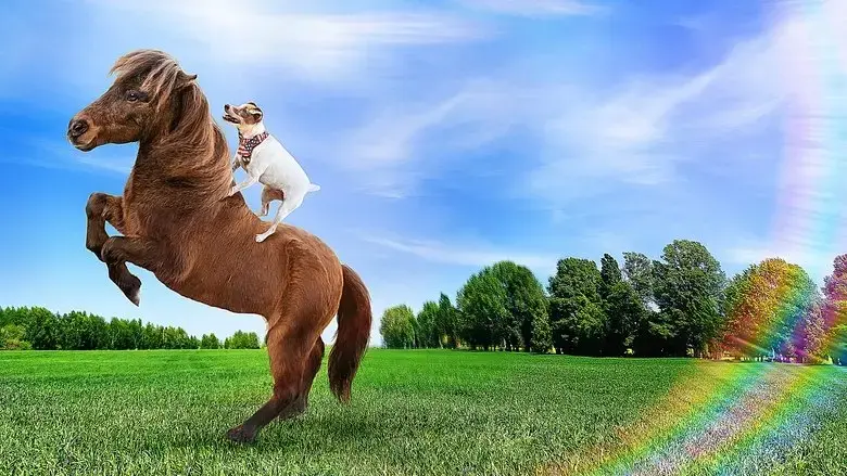 Adventures of Dally & Spanky (2019)