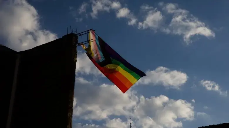 Guanajuato: Dissent and Diversity (2024)