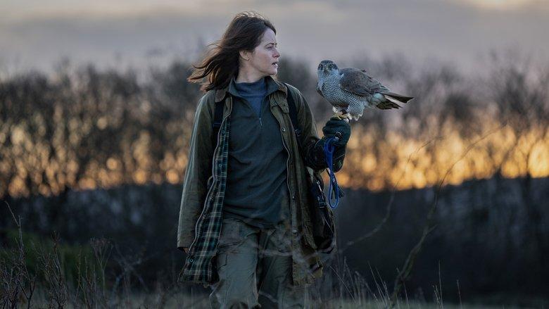 H Is for Hawk (2025)