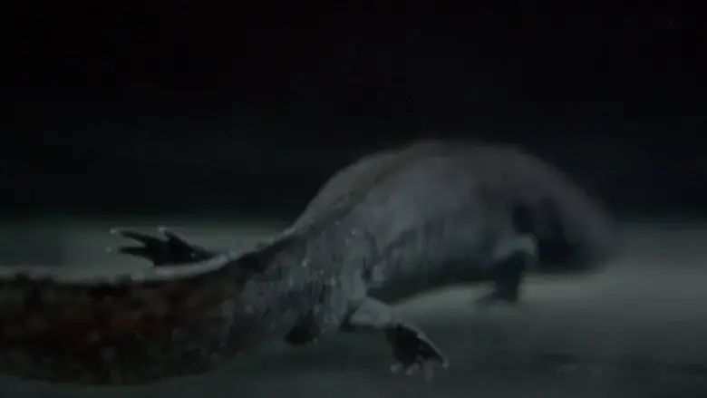 Axolotl (2025)