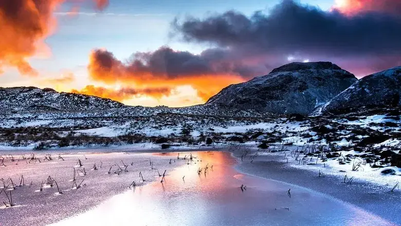 The Lake District: A Wild Year (2017)