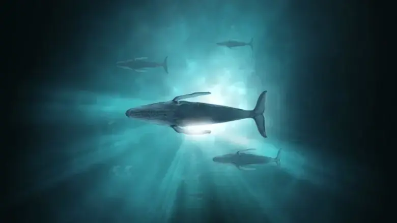 Sonic Sea (2016)