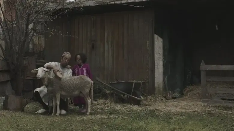 La pecora nera (2021)