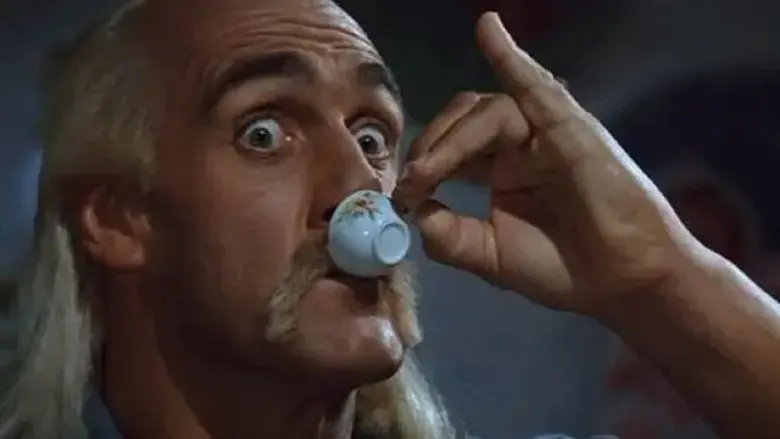 Mr. Nanny (1993)