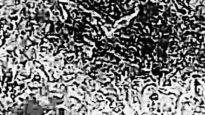 Linton Falls - A Study of the Force of Water (2024)
