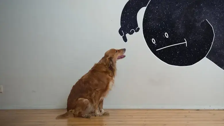 Mr. Night has a Day Off (2017)
