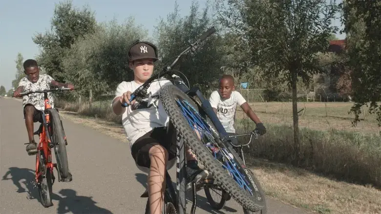 180cc (2018)