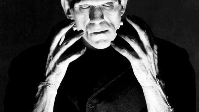 Le funeste destin du docteur Frankenstein (2018)
