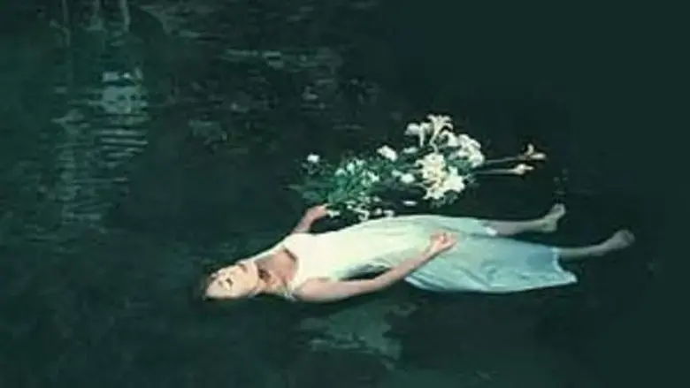 Akame 48 Waterfalls (2003)