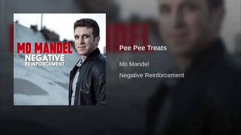 Mo Mandel: Negative Reinforcement (2016)