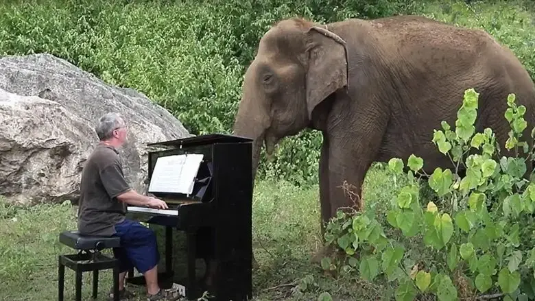 The musical animal (2024)