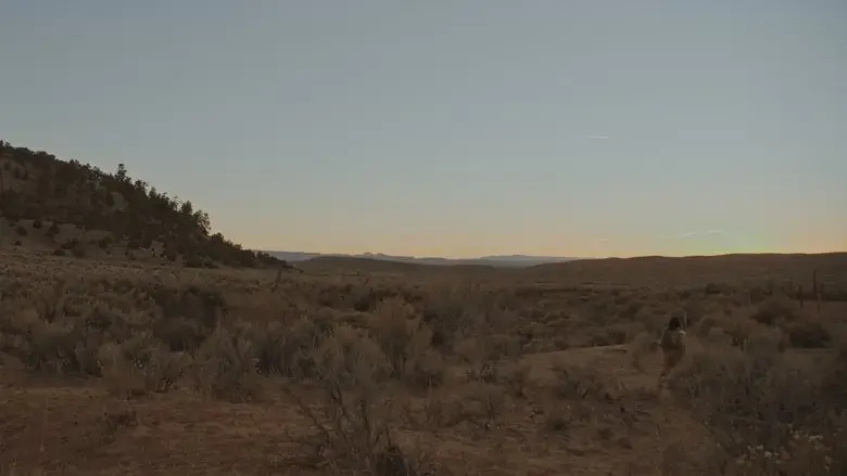 Blue Dusk (2021)
