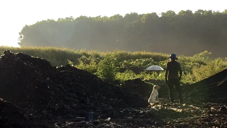 Soul of Soil (2024)