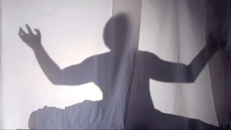 Janus (2024)