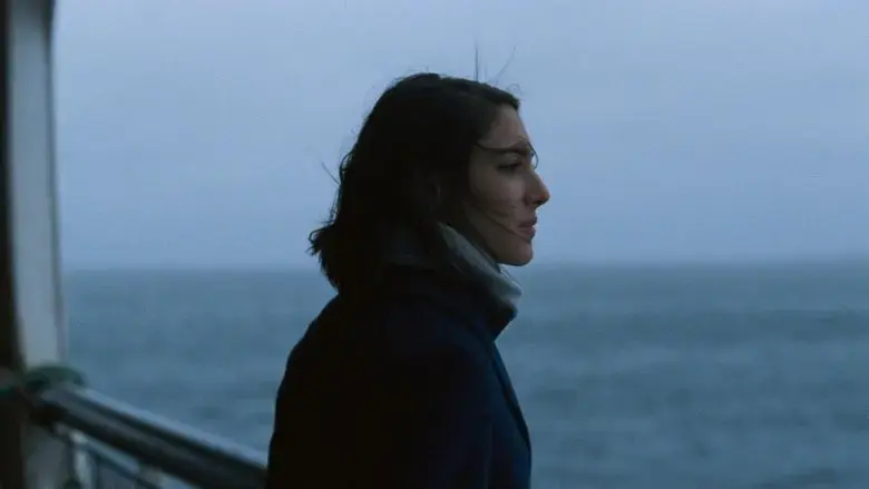 Boundaries (2016)
