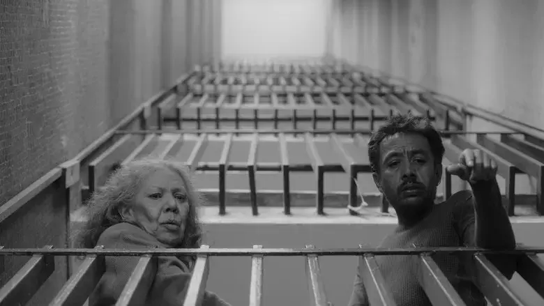 No nos moveran (2024)