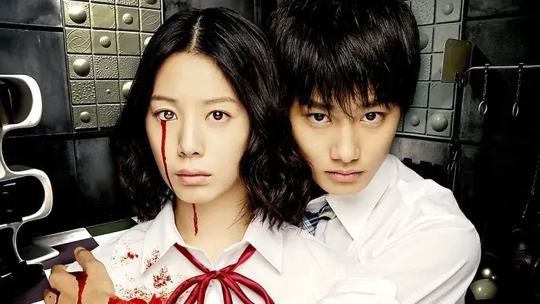 Puzzle (2014)