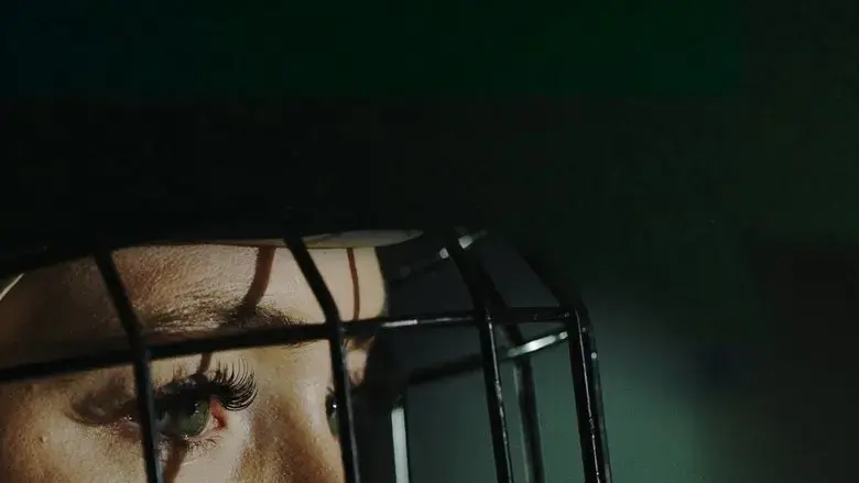 Take the Ice (2022)