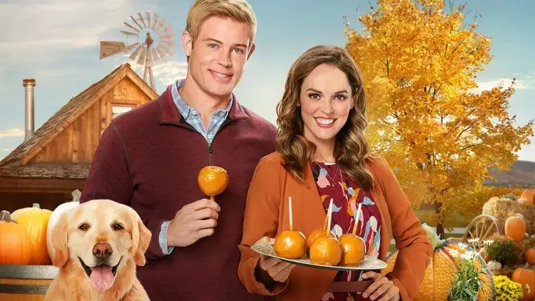 Love, Fall & Order (2019)