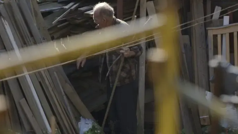 Scaffold (2017)