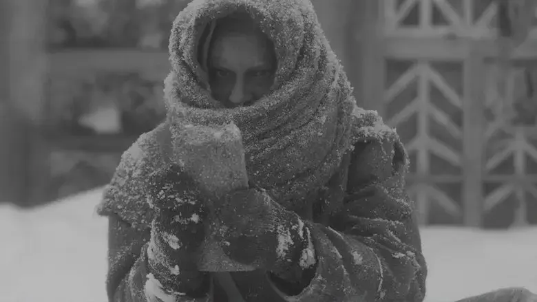A Siege Diary (2021)