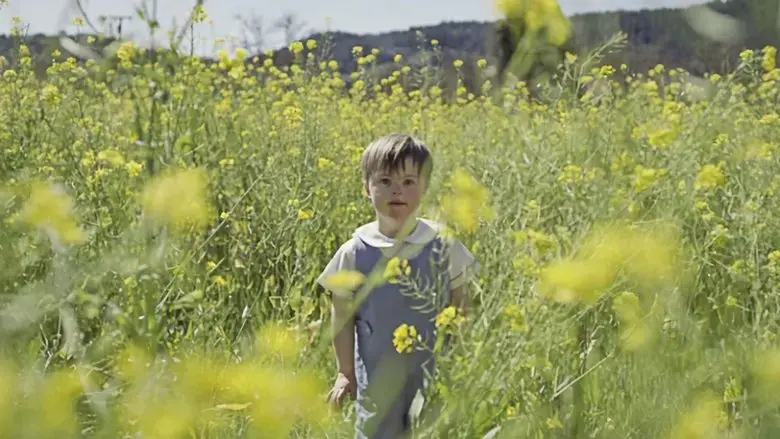 So Much Yellow (2017)