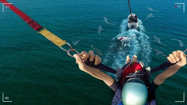 Caught! Sharks Strike Back (2025)