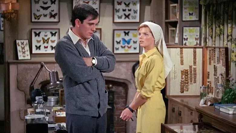 The Collector (1965)