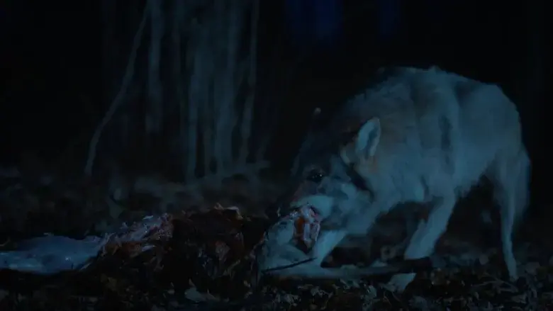 The End (2024)