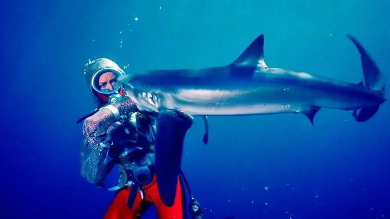 Playing with Sharks: The Valerie Taylor Story (2021)