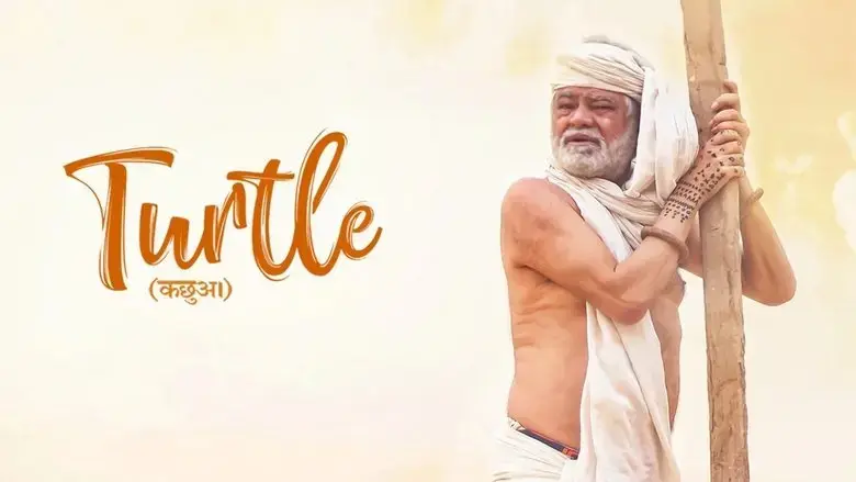 Turtle (2018)