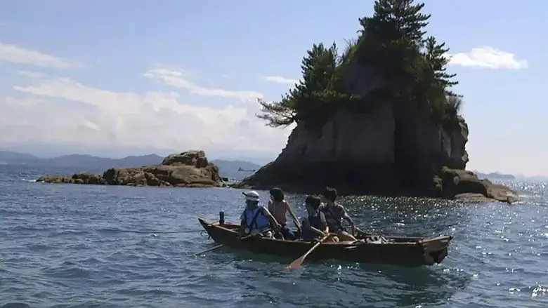 Samurai Pirates (2013)