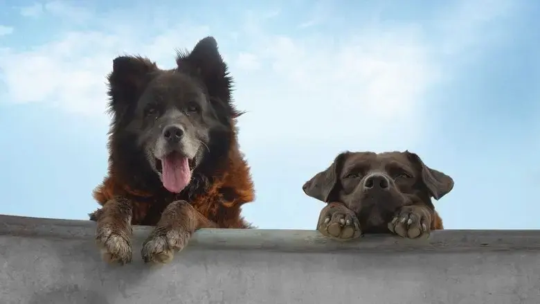 Los Reyes (2019)
