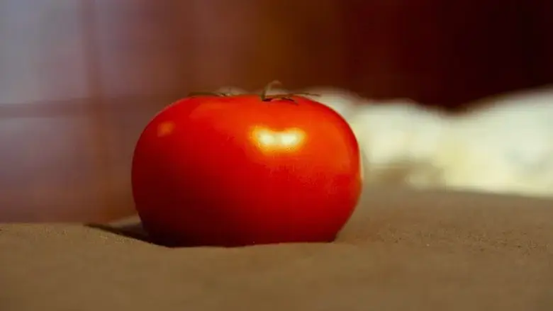 It's rolling like a tomato (2024)