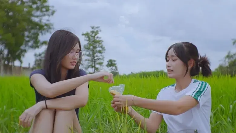 Letters After Rain (2025)
