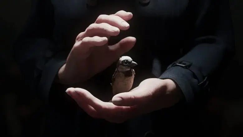 A Sparrow's Song (2025)