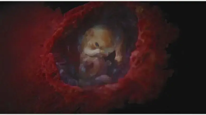 Photon (2017)