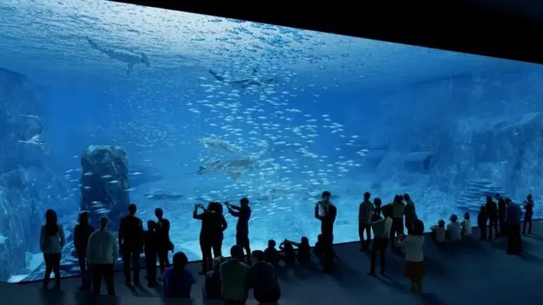 Nausicaa: The Largest Aquarium in Europe (2019)