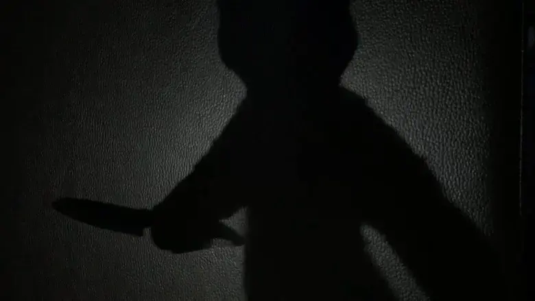 The DOC (2018)
