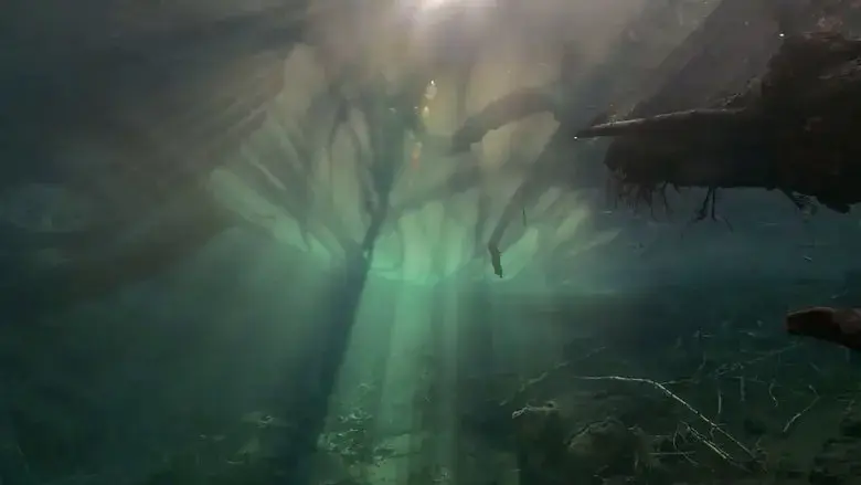 Der unsichtbare Fluss - Unter Wasser zwischen Schwarzwald und Vogesen (2019)
