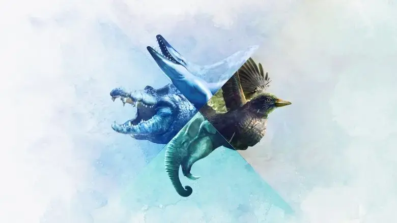 When Whales Walked: Journeys in Deep Time (2019)