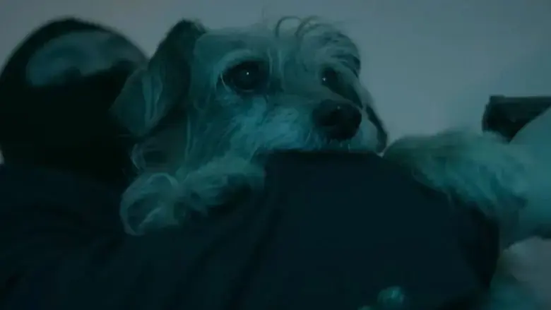 Dog Wick (2017)