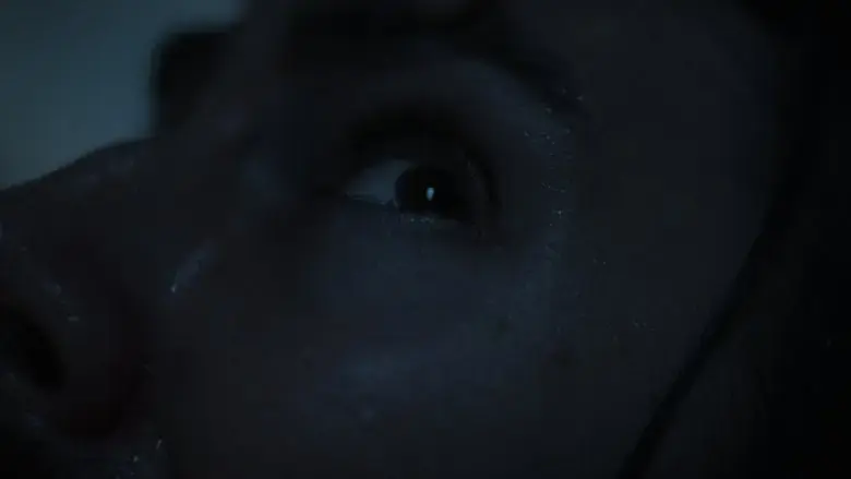 The Dysphoria (2025)