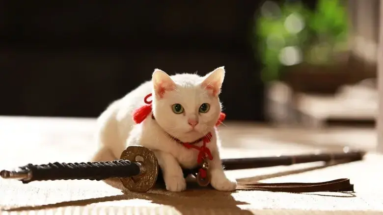 Neko zamurai: Minami no shima e iku (2015)