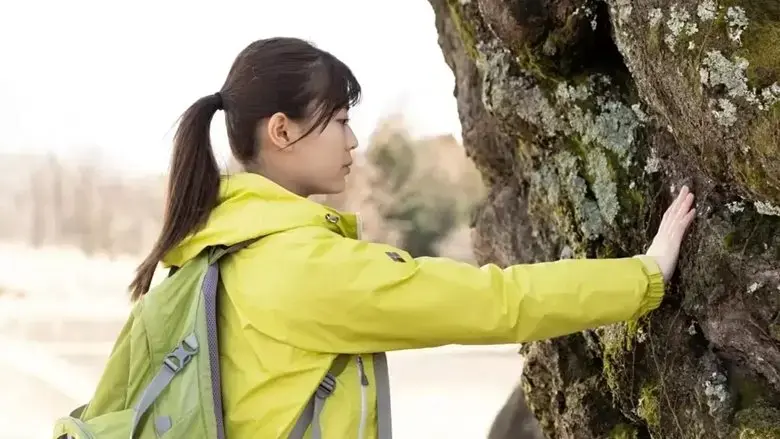 A World Without Cherry Blossoms (2022)