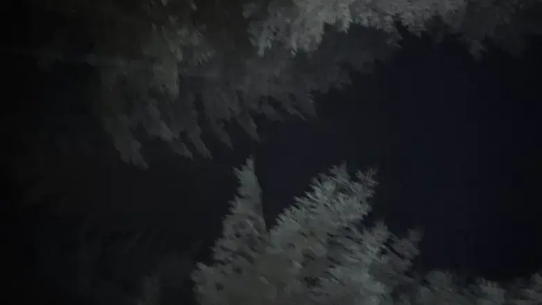 Last to Die (2025)