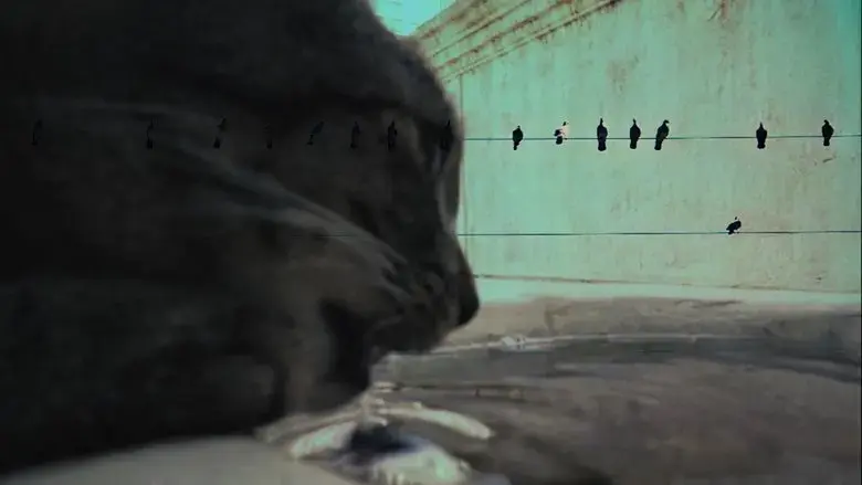 7 Vidas (2025)