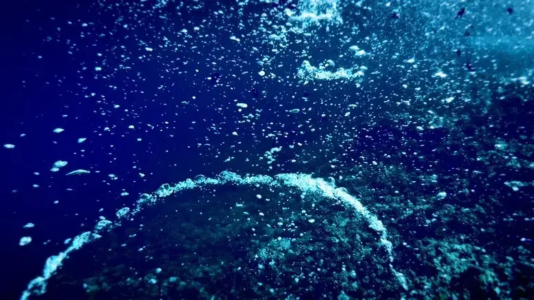 The White Beach (2020)