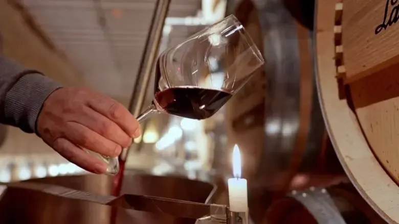 Rioja: The Land of a Thousand Wines (2023)