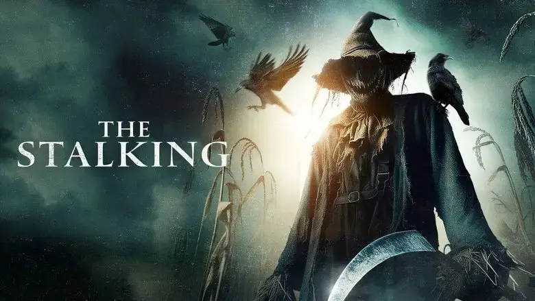 The Stalking (2024)